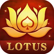 joy rummy latest version download